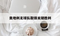 奥地利足球队取得关键胜利
