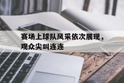 赛场上球队风采依次展现，观众尖叫连连的简单介绍