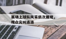 赛场上球队风采依次展现，观众尖叫连连的简单介绍