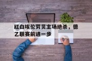 红白埃伦劳贝主场绝杀，德乙联赛前进一步的简单介绍