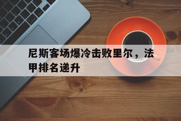 尼斯客场爆冷击败里尔，法甲排名递升的简单介绍